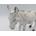 HUCHA DE HIERRO PINTADO CON FORMA DE BURRO - Imagen 1